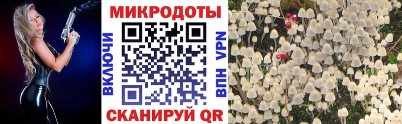 Псилоцибиновые грибы ЛСД  Оха 